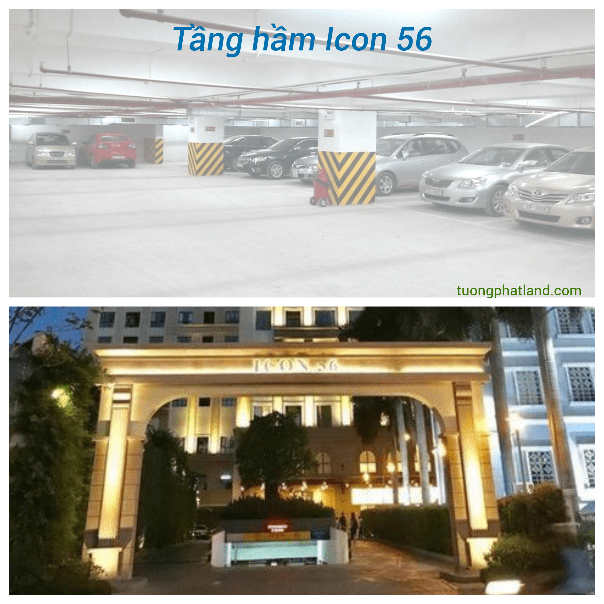 Tầng hầm chung cư Icon 56