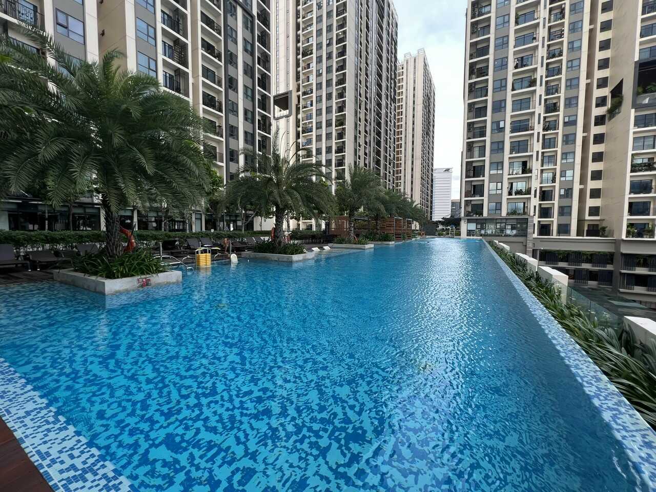 iris 3 ha do centrosa ho boi