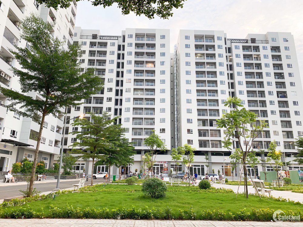 Kỳ vọng và thách thức trong giai đoạn đầu